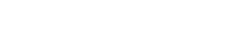 SWIFT TRADER